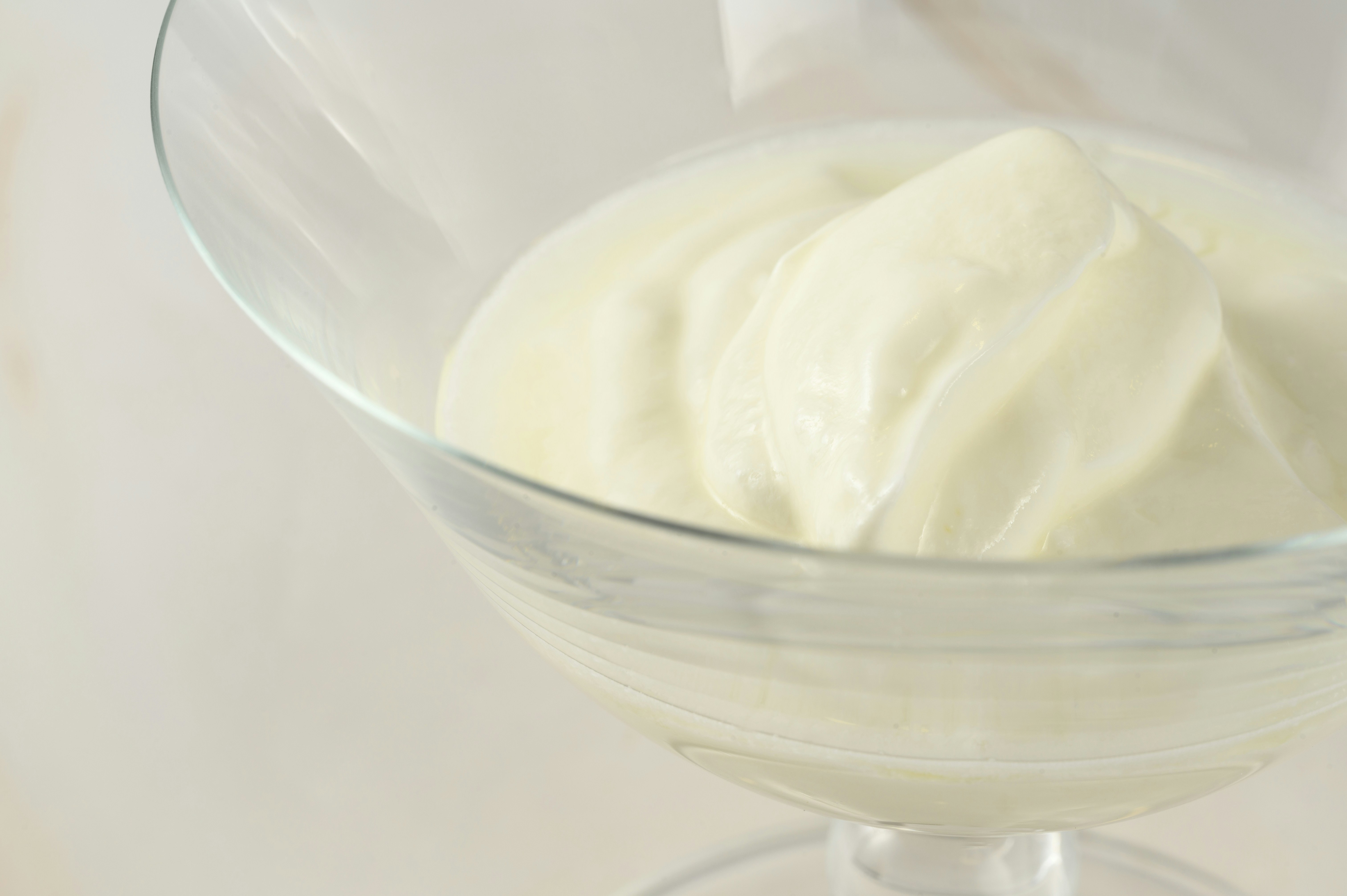 Fresh Plain Yogurt